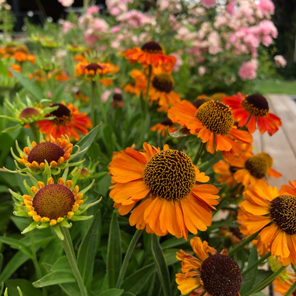 Bloemen op je&nbsp;kamer